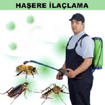 Boyabat Böcek İlaçlama